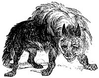 striped-hyena_1_sm.gif
