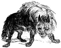 striped-hyena_1_lg.gif