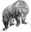 grizzly-bear_1_th.gif