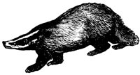 badger_1_lg.gif