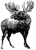 elk_1_th.gif