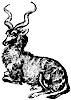 kudu_1_th.gif