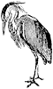 heron_1_th.gif