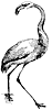 flamingo_1_th.gif