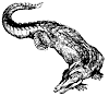 crocodile_1_th.gif