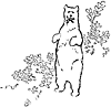 bear_21015_th.gif