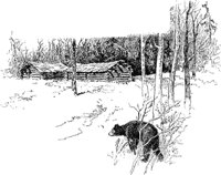 bear2_21016_md.gif
