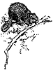 beaver_21024_th.gif