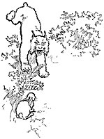 lynx_21026_sm.gif