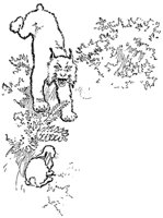 lynx_21026_md.gif