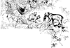 lynx2_21027_th.gif
