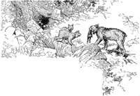 lynx2_21027_md.gif