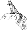 fox_21028_th.gif