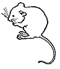 mouse2_21031_th.gif