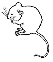 mouse2_21031_sm.gif