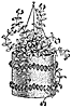 plant_21050_th.gif