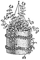 plant_21050_sm.gif