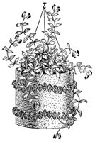 plant_21050_md.gif