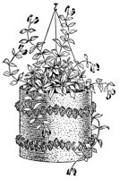 plant_21050_lg.gif
