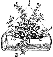 plant2_21051_lg.gif