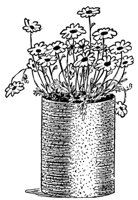 plant3_21052_md.gif