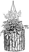 plant4_21053_md.gif