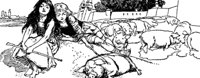 castles1_21064_md.gif