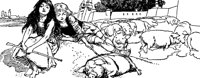 castles1_21064_lg.gif