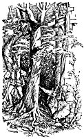 rapunzel_21085_sm.gif