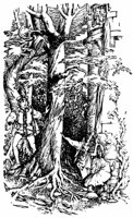rapunzel_21085_md.gif