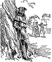 robin_hood12_21116_sm.gif