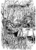alice7_21135_sm.gif