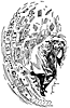 alice18_21146_th.gif