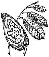 cocoa_21151_sm.gif