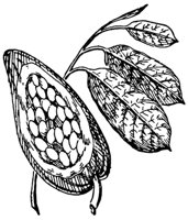 cocoa_21151_md.gif