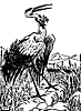 crane_21184_th.gif