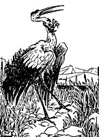 crane_21184_sm.gif