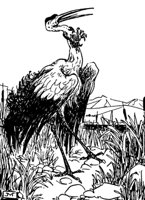 crane_21184_md.gif