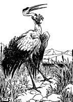 crane_21184_lg.gif