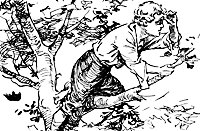 lombard2_21191_sm.gif