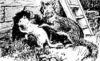 reynard_21274_sm.gif