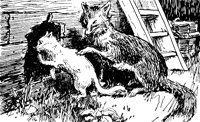 reynard_21274_lg.gif