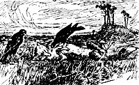 reynard3_21276_sm.gif