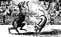 reynard4_21277_sm.gif