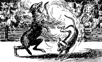 reynard4_21277_md.gif