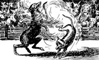 reynard4_21277_lg.gif