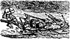 crusoe2_21341_th.gif