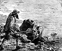 crusoe13_21360_sm.gif