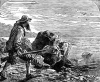 crusoe13_21360_lg.gif