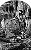 crusoe16_21364_th.gif